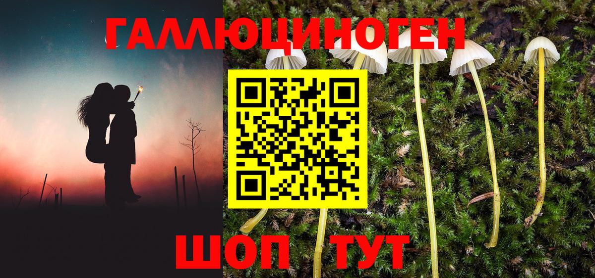Пушкино  Псилоцибиновые грибы Psilocybe  Вход с VPN 